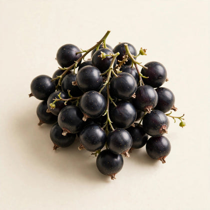 Blackcurrant