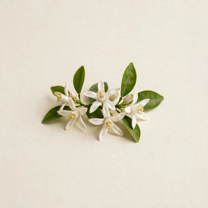 Neroli