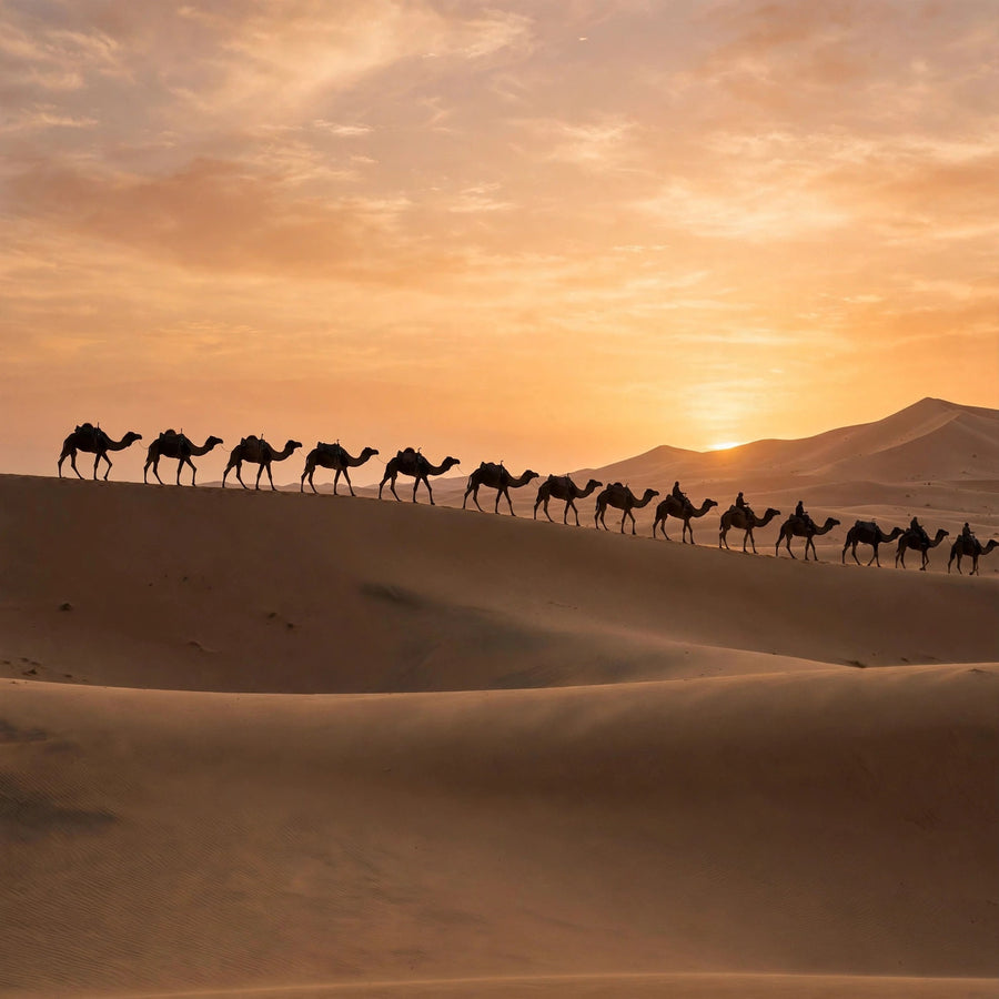 Inspiration behind Arab OUD