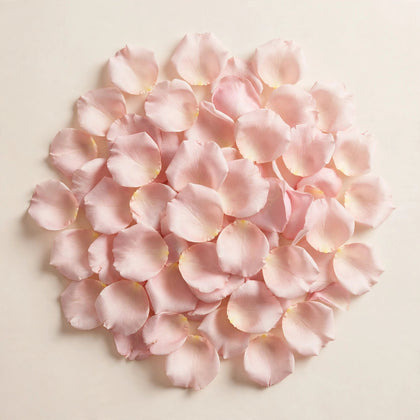Soft Rose
