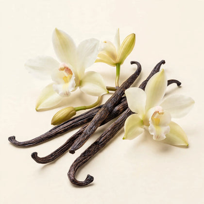 Vanilla