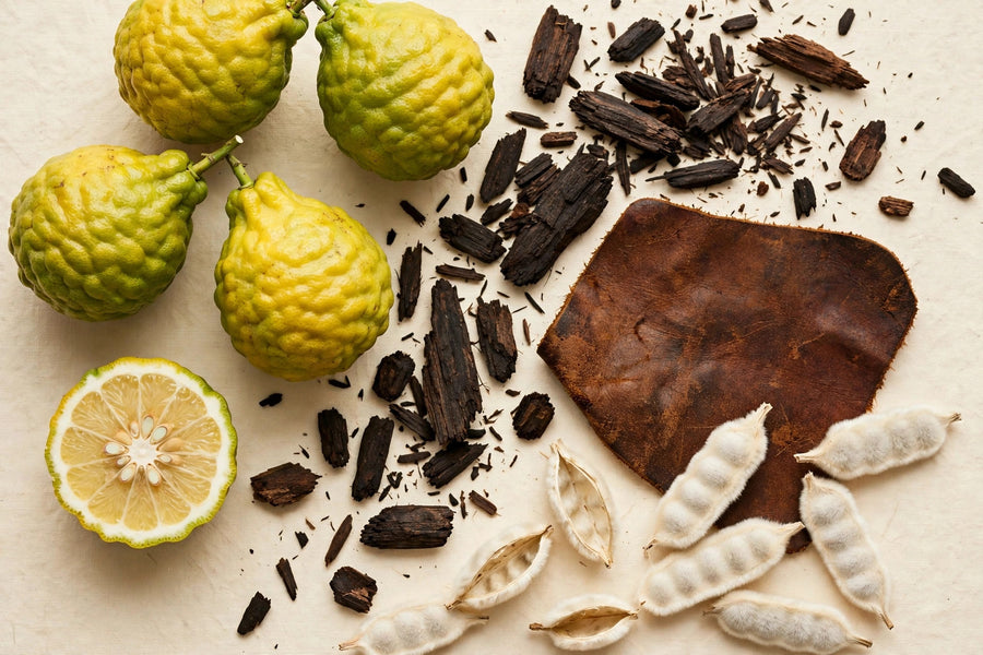 What Arab OUD smells like